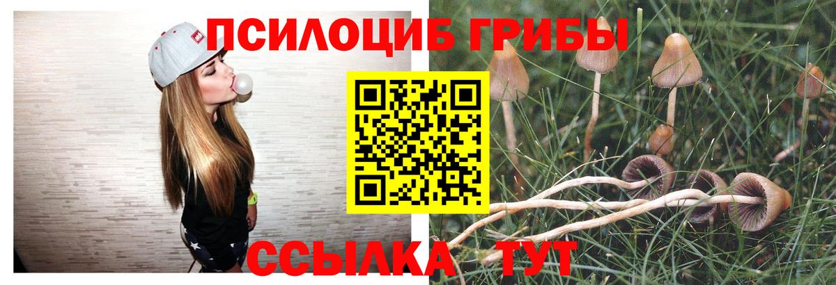 Псилоцибиновые грибы мицелий Ахтубинск