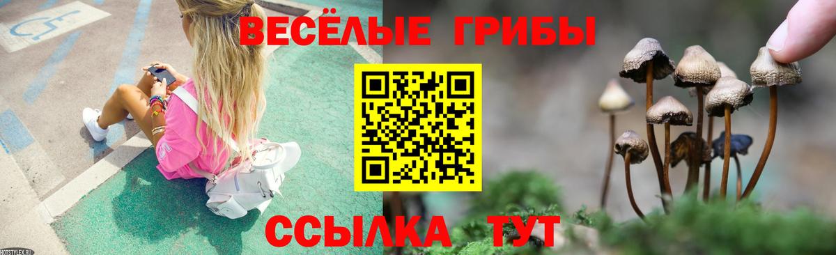 Псилоцибиновые грибы мухоморы  Вход с VPN  Ахтубинск 